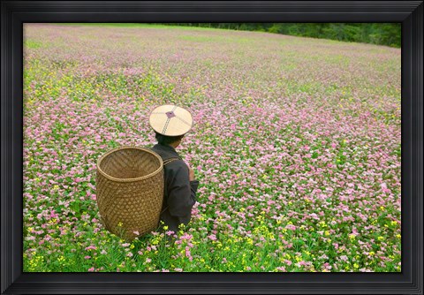 Framed Farmer in Farmland of Canola and Buckwheat, Bumthang, Bhutan Print