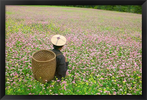 Framed Farmer in Farmland of Canola and Buckwheat, Bumthang, Bhutan Print