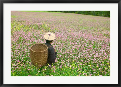 Framed Farmer in Farmland of Canola and Buckwheat, Bumthang, Bhutan Print