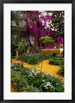 Framed Garden Courtyard, Marrakech, Morocco Print