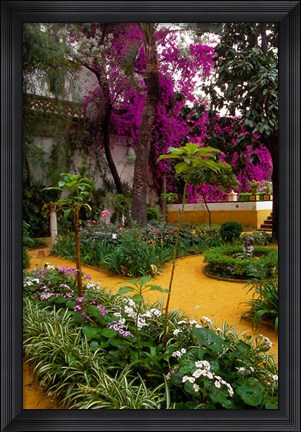Framed Garden Courtyard, Marrakech, Morocco Print