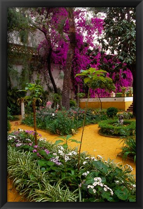 Framed Garden Courtyard, Marrakech, Morocco Print