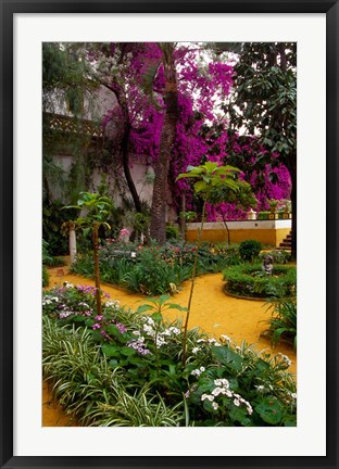 Framed Garden Courtyard, Marrakech, Morocco Print