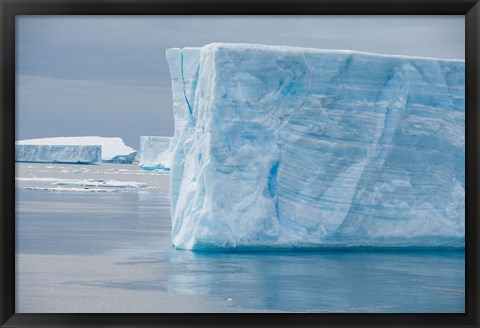 Framed Antarctica, Antarctic Sound. Tabular icebergs. Print