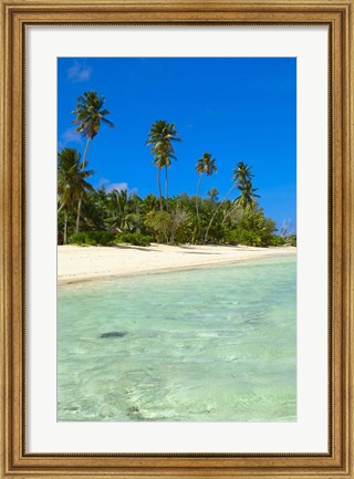 Framed Beach, Desroches Resort, Desroches Island, Seychelles Print