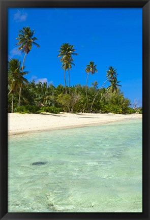 Framed Beach, Desroches Resort, Desroches Island, Seychelles Print