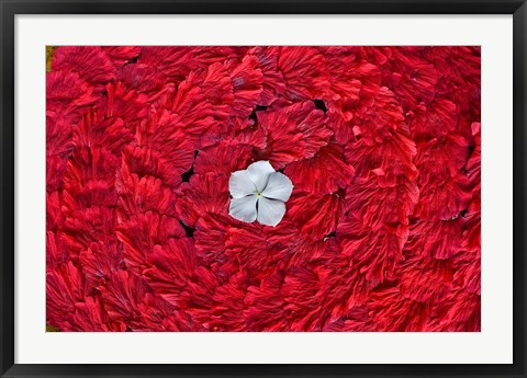 Framed Flower arrangments at spa, Fregate Resort, Seychelles Print