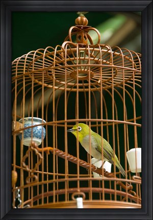 Framed Hong Kong, Bird Garden, Market, Caged pet birds Print