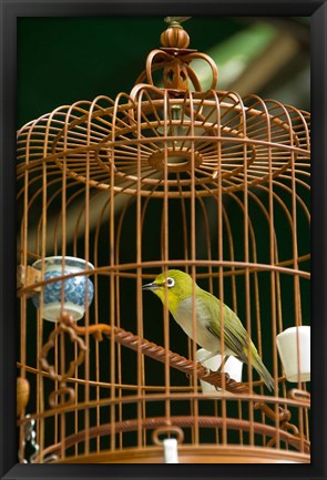 Framed Hong Kong, Bird Garden, Market, Caged pet birds Print