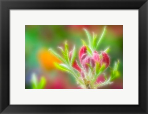 Framed Abstract close Print