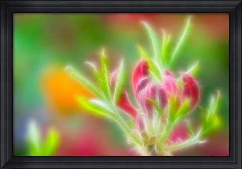 Framed Abstract close Print