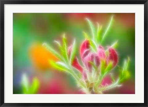 Framed Abstract close Print