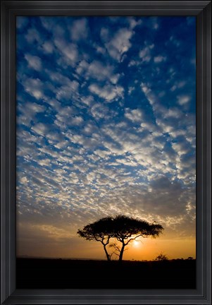 Framed Africa. Tanzania. Sunrise in Serengeti NP. Print