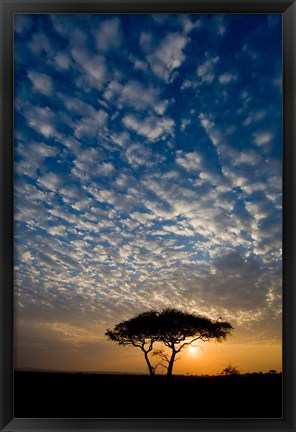 Framed Africa. Tanzania. Sunrise in Serengeti NP. Print