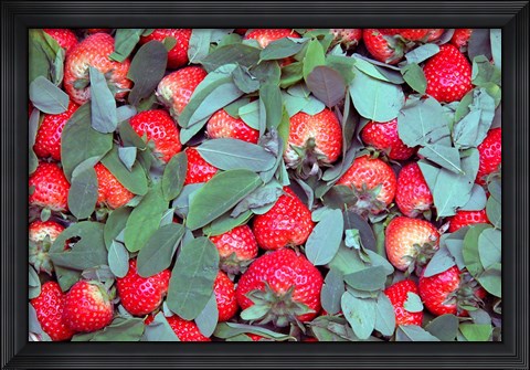 Framed China, Chongqing, Strawberries in fruit market Print