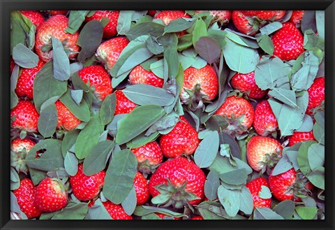 Framed China, Chongqing, Strawberries in fruit market Print