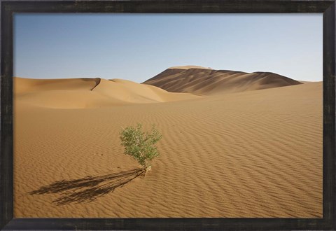 Framed China, Gansu Province. Lone plant casts shadow on Badain Jaran Desert. Print