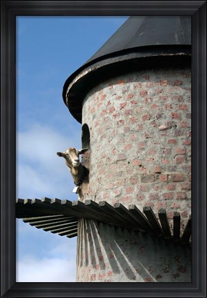 Framed Fairview winery, goat tower, Paarl, South Africa Print