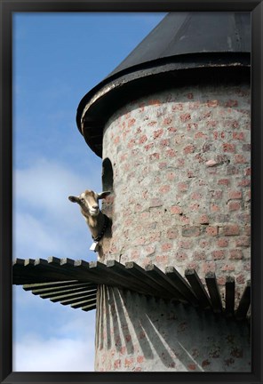 Framed Fairview winery, goat tower, Paarl, South Africa Print