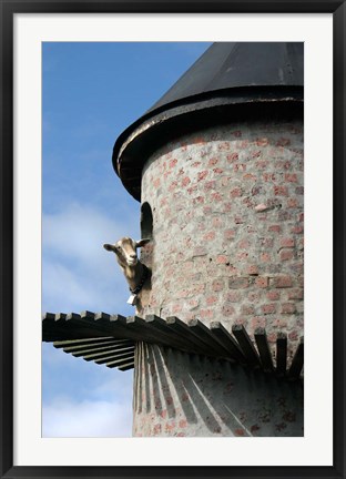 Framed Fairview winery, goat tower, Paarl, South Africa Print