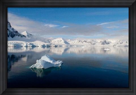 Framed Antarctica Print