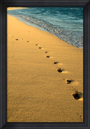 Framed Footprints in the Sand, Mauritius, Africa Print