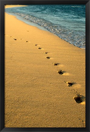 Framed Footprints in the Sand, Mauritius, Africa Print