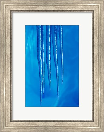 Framed Antarctica, Icicles hanging from the roof of a glacial ice cave. Print