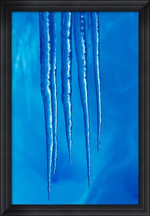 Framed Antarctica, Icicles hanging from the roof of a glacial ice cave. Print