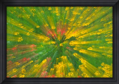 Framed Garden Abstract Print