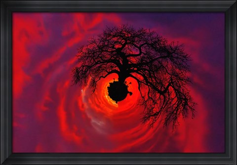 Framed African baobab tree silhouetted at sunset, , Tarangire National Park, Tanzania Print