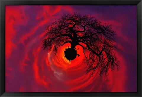 Framed African baobab tree silhouetted at sunset, , Tarangire National Park, Tanzania Print