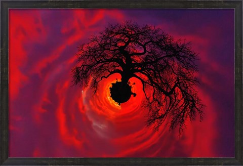 Framed African baobab tree silhouetted at sunset, , Tarangire National Park, Tanzania Print
