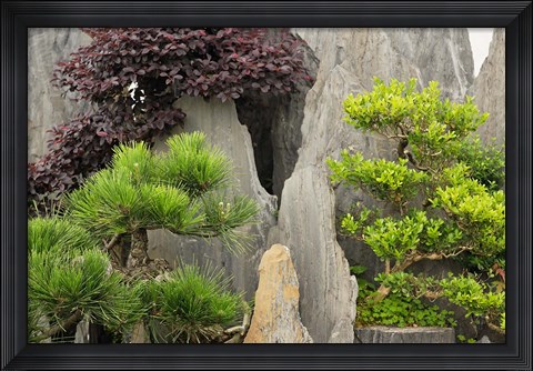 Framed Bao&#39;s Family Garden, Huangshan, China Print