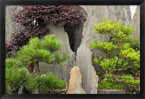 Framed Bao&#39;s Family Garden, Huangshan, China Print