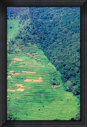Framed Abutting Agricultural Development, Uganda Print