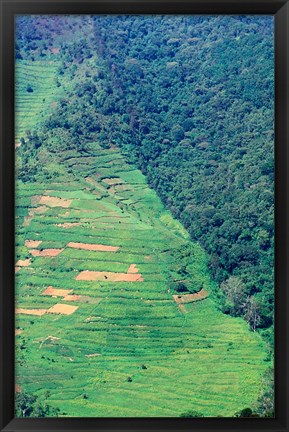 Framed Abutting Agricultural Development, Uganda Print