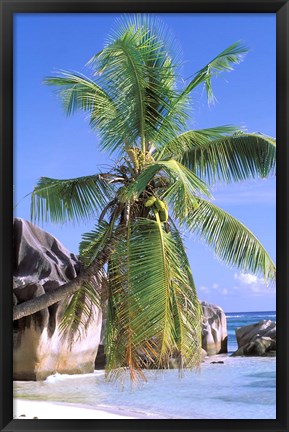 Framed Granite Outcrops, La Digue Island, Seychelles, Africa Print