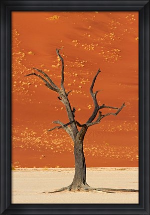 Framed Dead tree, sand dunes, Deadvlei, Namib-Naukluft National Park, Namibia Print