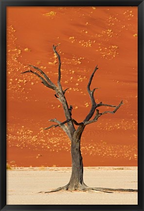 Framed Dead tree, sand dunes, Deadvlei, Namib-Naukluft National Park, Namibia Print