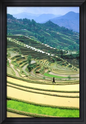Framed China, Yunnan, Yuanyang Co, Rice Terraces, Mount Ailo Print