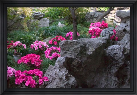 Framed Flowers and Rocks in Traditional Chinese Garden, China Print
