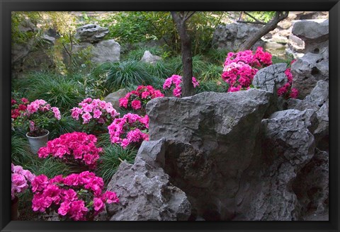 Framed Flowers and Rocks in Traditional Chinese Garden, China Print