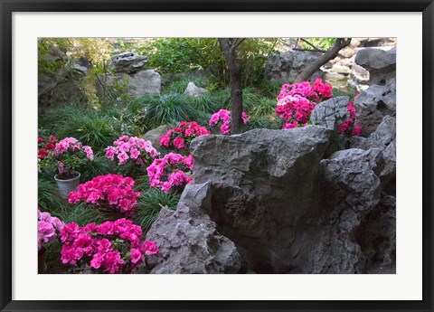 Framed Flowers and Rocks in Traditional Chinese Garden, China Print