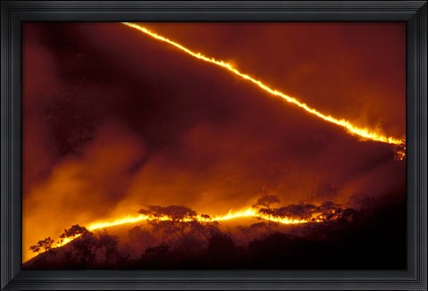 Framed Forest Fire, Gombe National Park, Tanzania Print