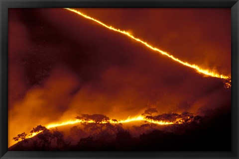 Framed Forest Fire, Gombe National Park, Tanzania Print