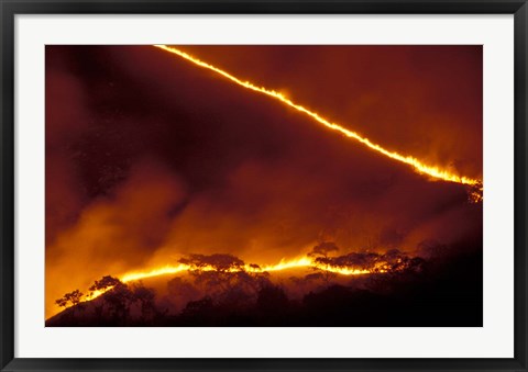 Framed Forest Fire, Gombe National Park, Tanzania Print