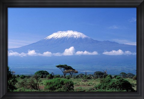 Framed Africa, Tanzania, Mt Kilimanjaro, landscape and zebra Print