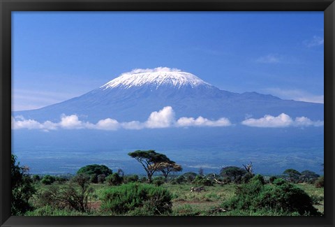 Framed Africa, Tanzania, Mt Kilimanjaro, landscape and zebra Print