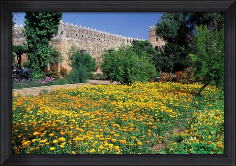 Framed Gardens and Crenellated Walls of Kasbah des Oudaias, Morocco Print